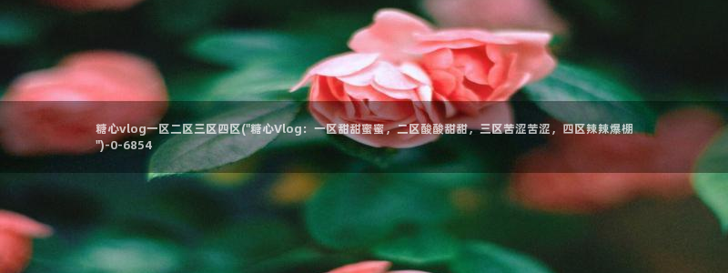 糖心v|：糖心vlog一区二区三区四区(\