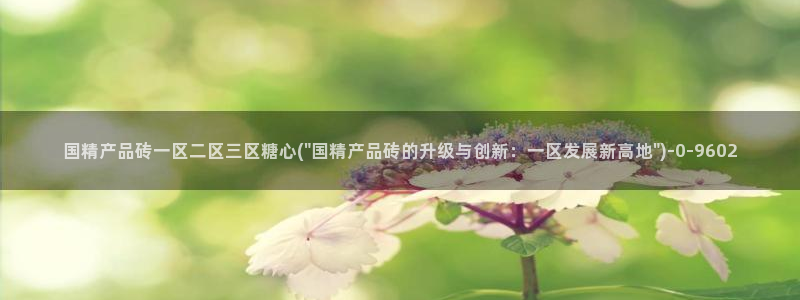 糖心精选：国精产品砖一区二区三区糖心(\