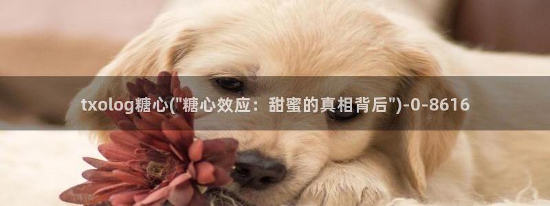 糖心糖心vlog：txolog糖心(\